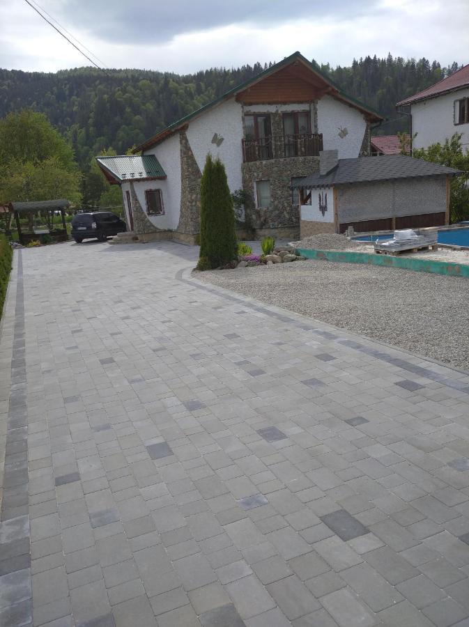 янчар з басейном Holiday home Mykulychyn