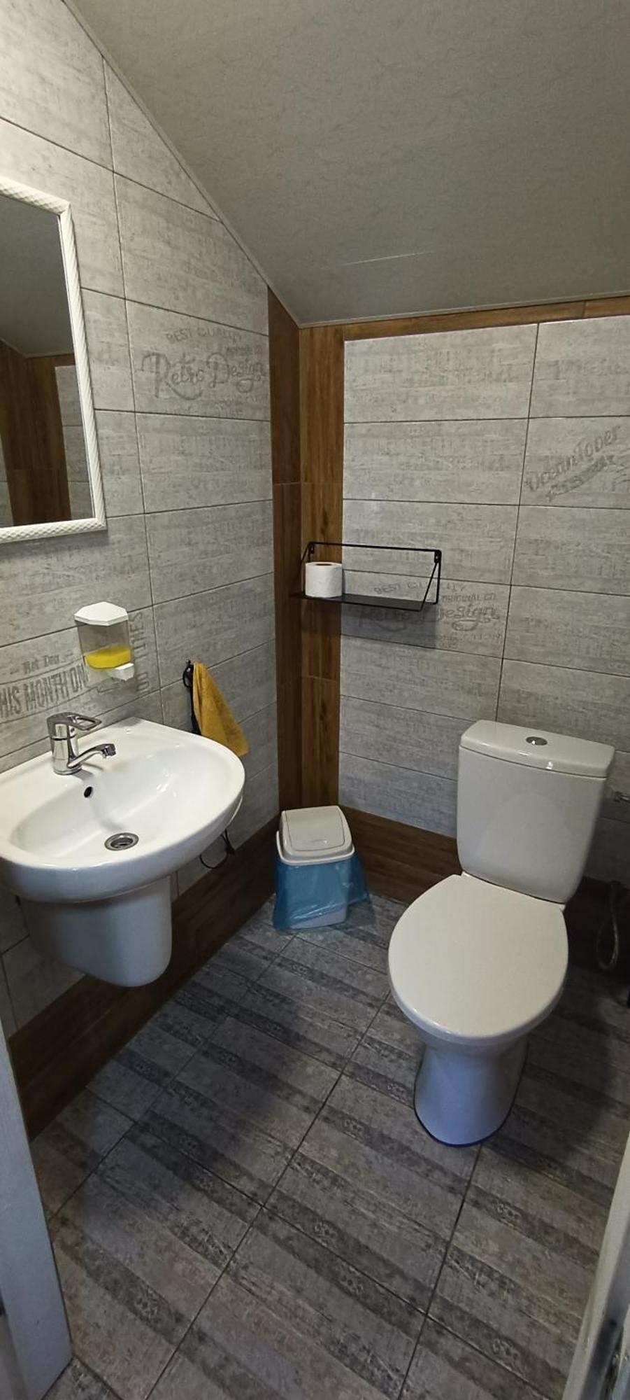 янчар з басейном Holiday home Mykulychyn